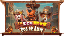 The Dog House Dog or Alive